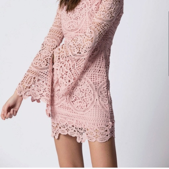 Haute Rogue Emma Pink Lace Bodycon Mini Dress XS - Picture 2 of 10